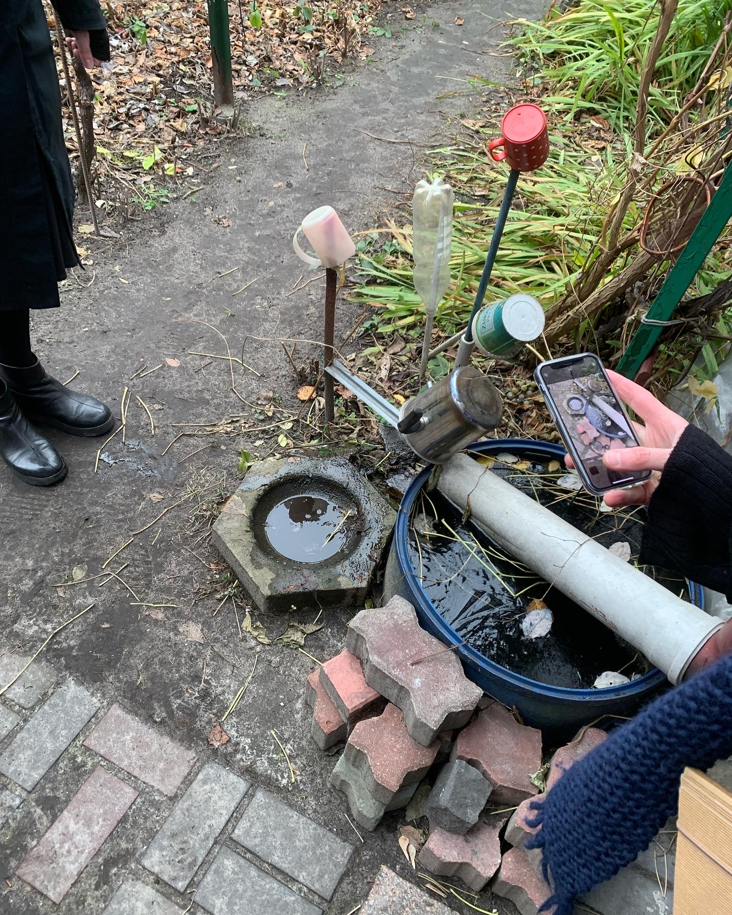 dzialkowicze%20czy%20dzialkowcy